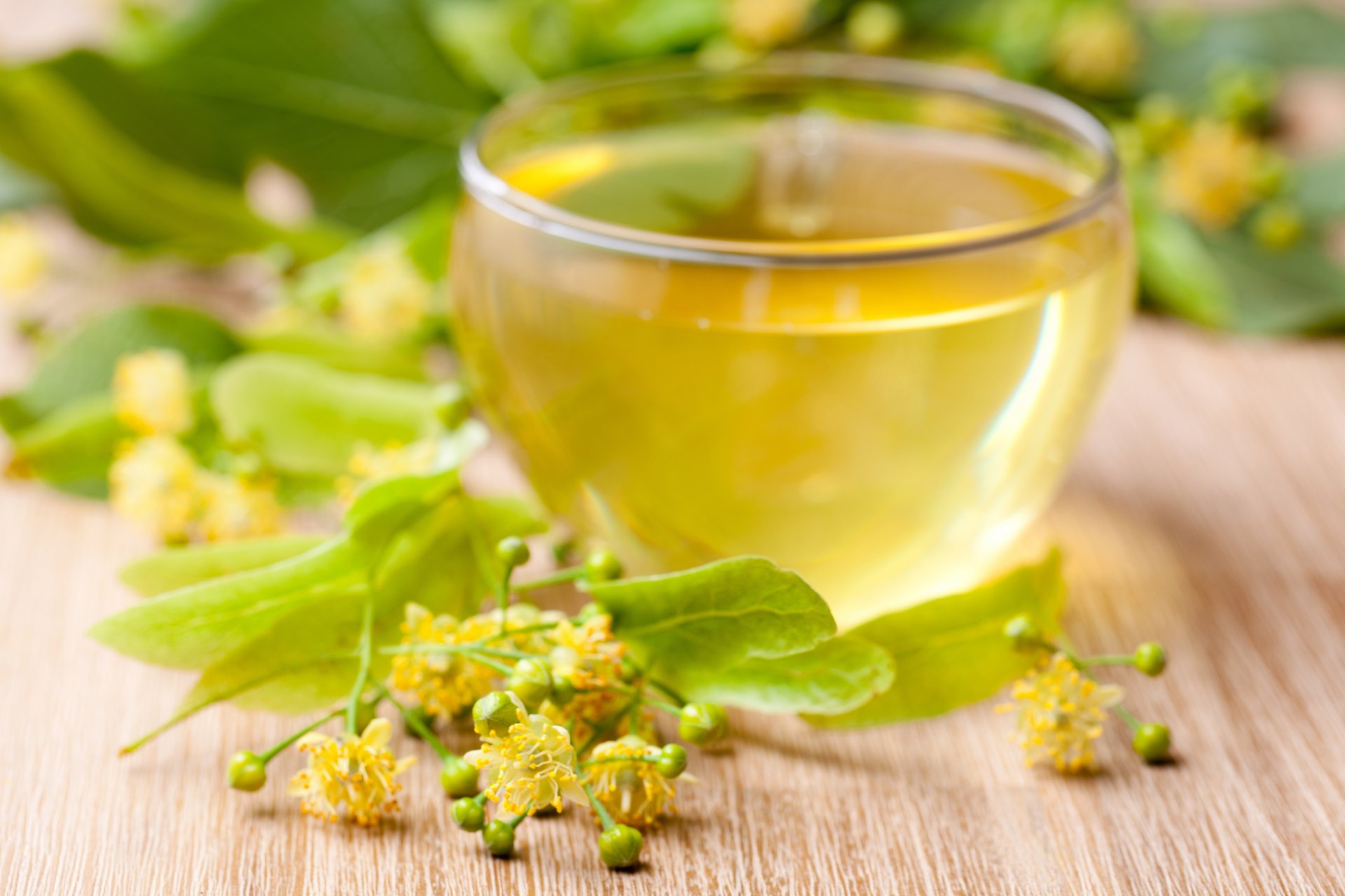 tea cup lime leaves table