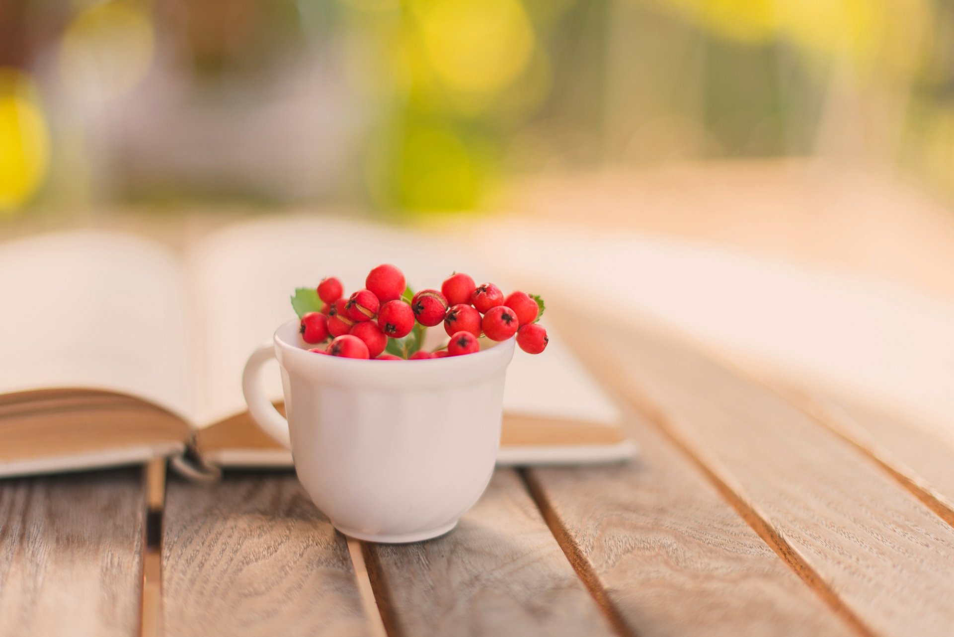 libro tazza bacche rosso sorbo autunno tavolo sfocatura