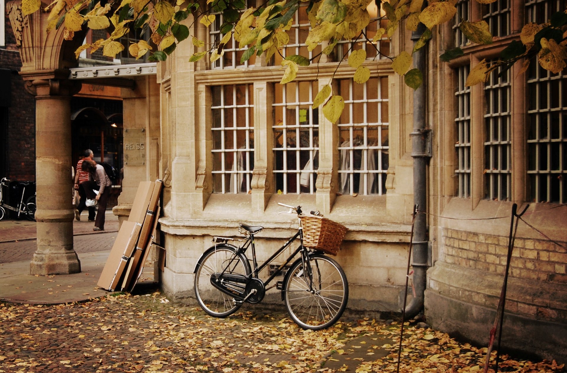 varios bicicleta rueda cesta cesta naturaleza otoño hojas amarillo caída de hojas árboles casa ventanas personas fondo papel pintado widescreen pantalla completa widescreen widescreen