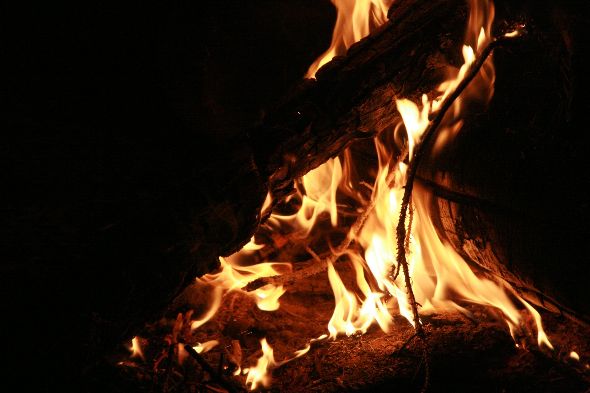 varios fogata fuego leña noche descanso