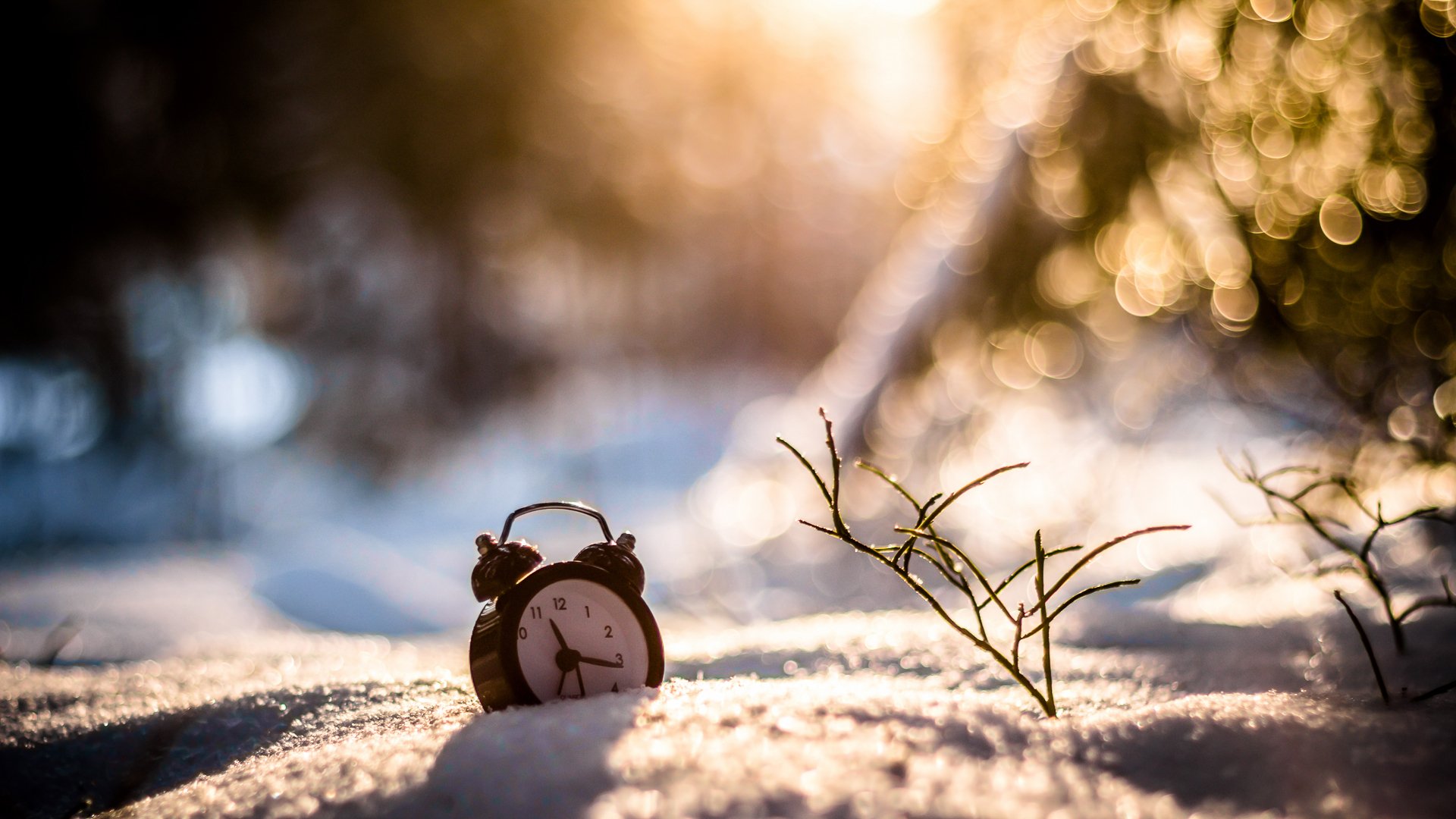 śnieg zima zegar budzik bokeh trawa