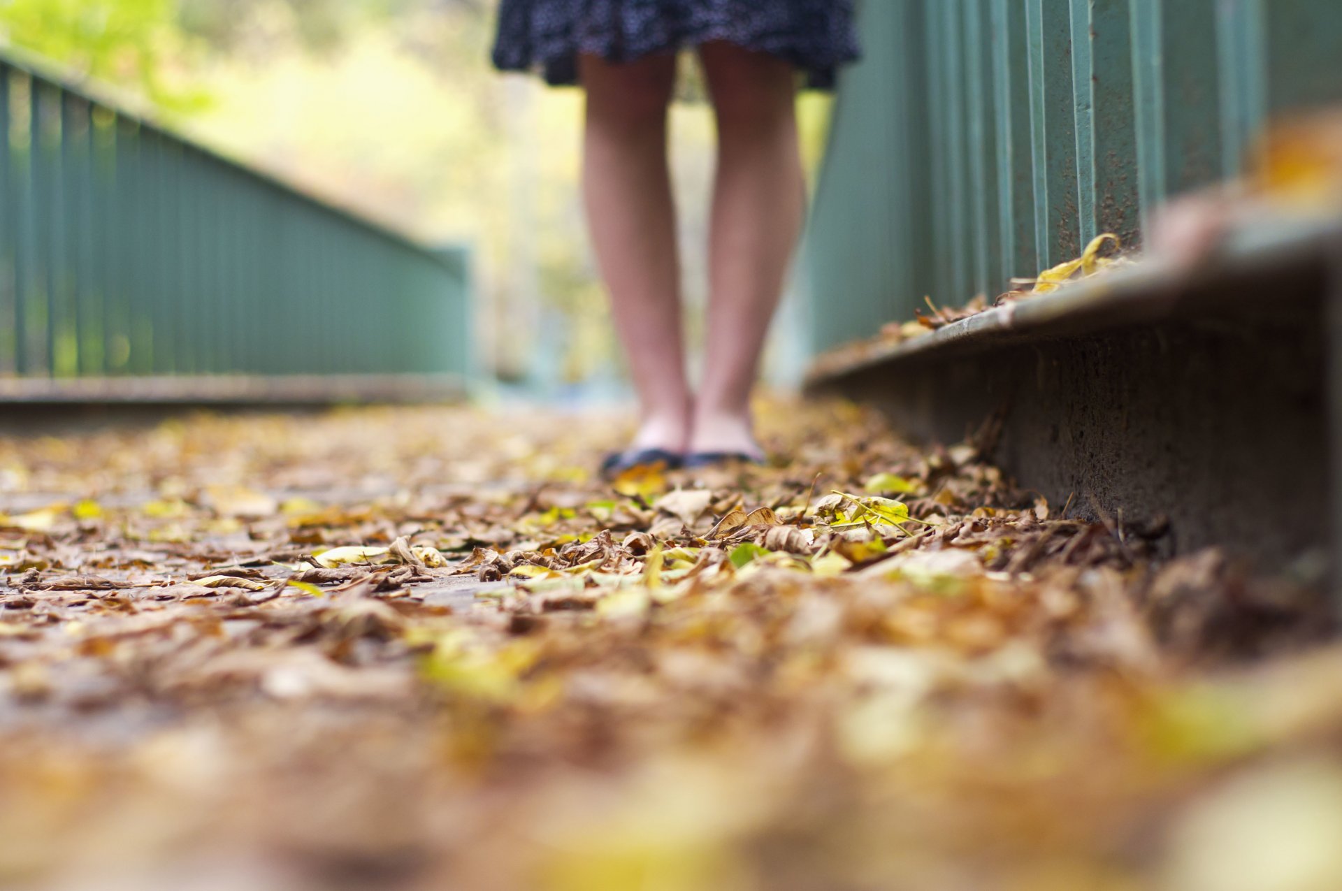 varie foglie foglioline autunno giallo verde macro piedi ragazza sfondo carta da parati widescreen a schermo intero