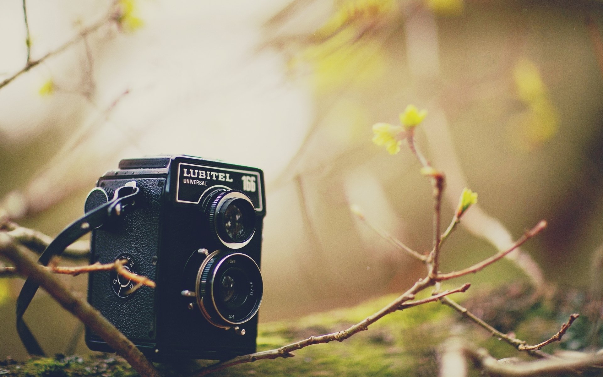 varios cámara samera cámara lubitel árbol hojas ramas desenfoque fondo papel pintado pantalla ancha pantalla ancha pantalla ancha