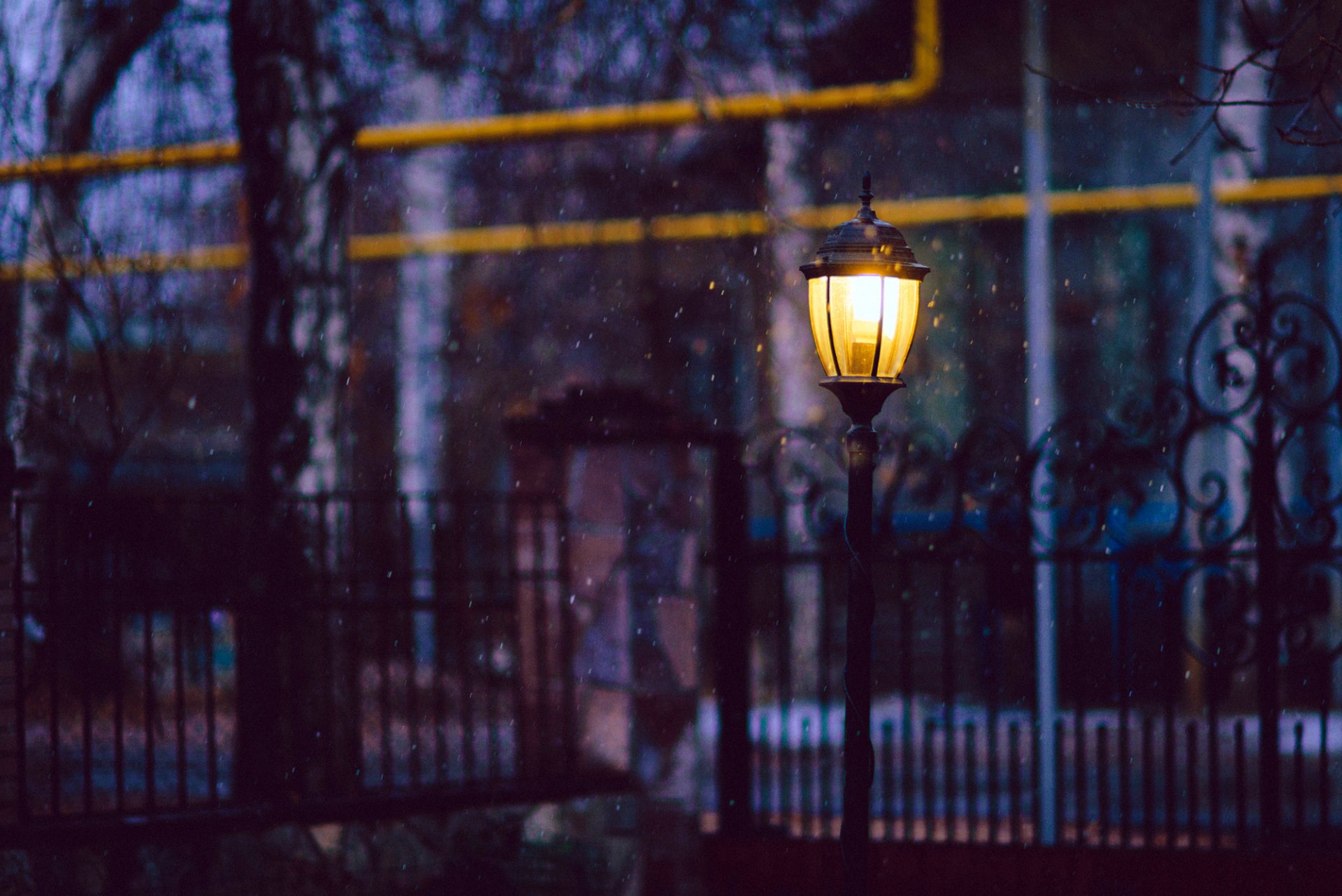 linterna iluminación luz nieve cerca cerca árboles noche