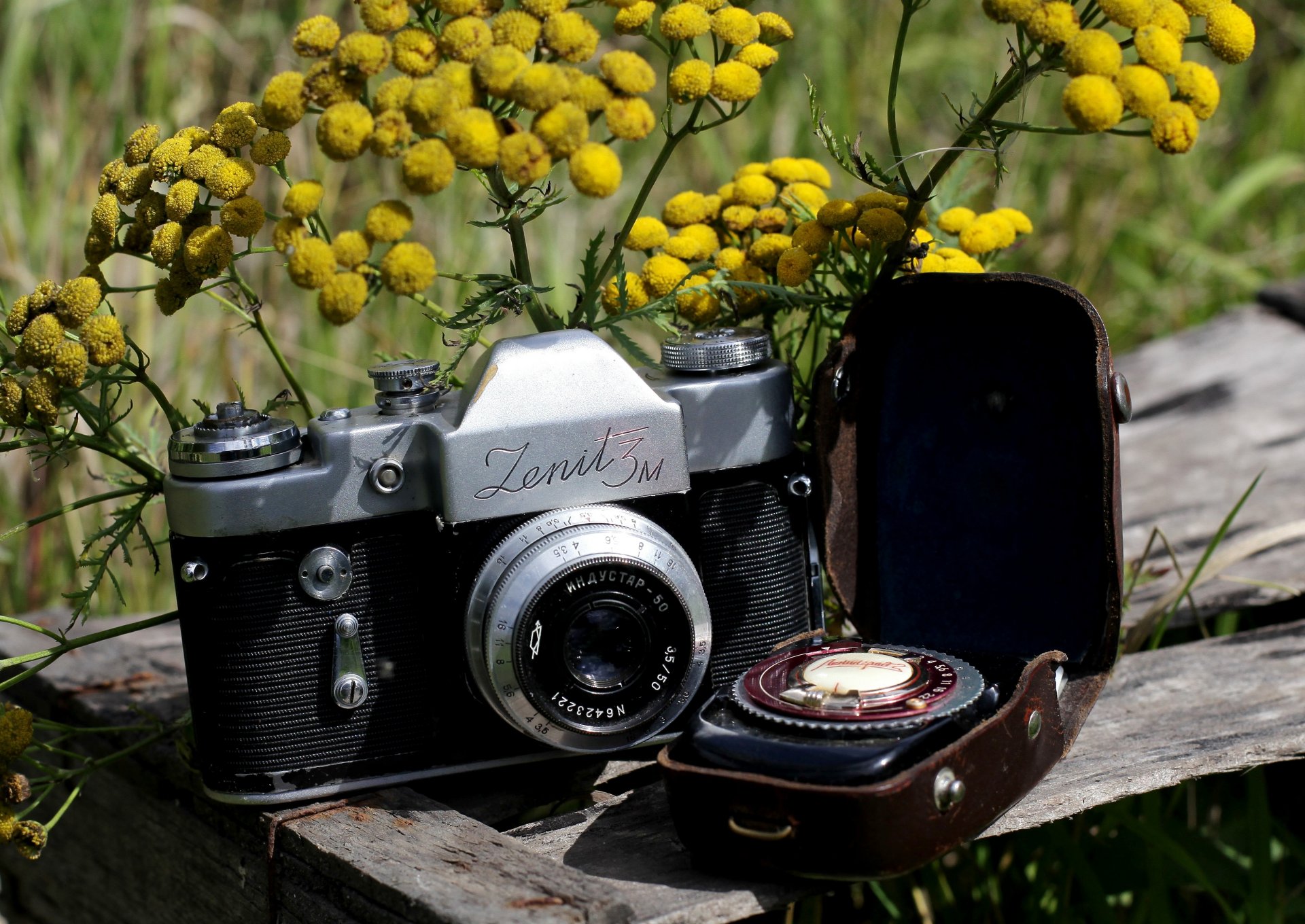 cámara zenit-3m soviético lente única espejo medidor de luz leningrado 2 estuche flores mimosa fondo