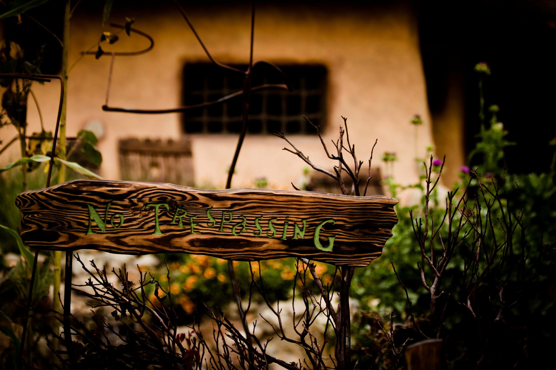 verschiedenes schild grün holz fremder eingang ist verboten blumen blumen zweige unschärfe hintergrund tapete widescreen vollbild widescreen widescreen