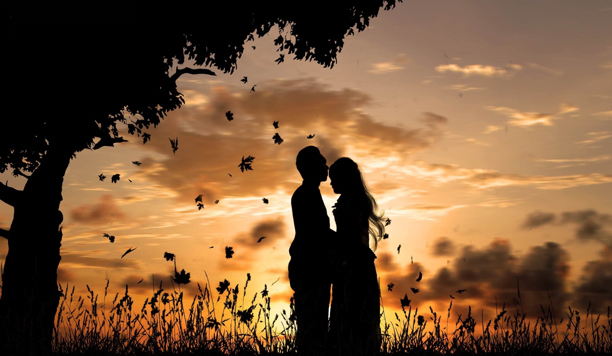 fille petit ami amour romance baisers silhouettes arbre. feuilles ciel coucher de soleil