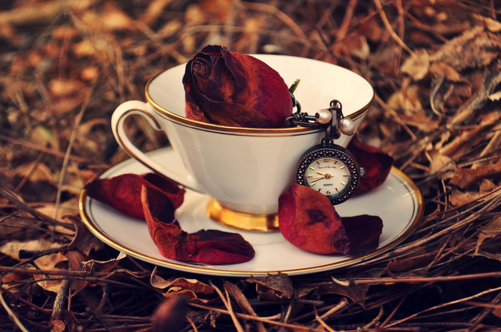 taza platillo rosa rojo pétalos reloj hojas hierba otoño