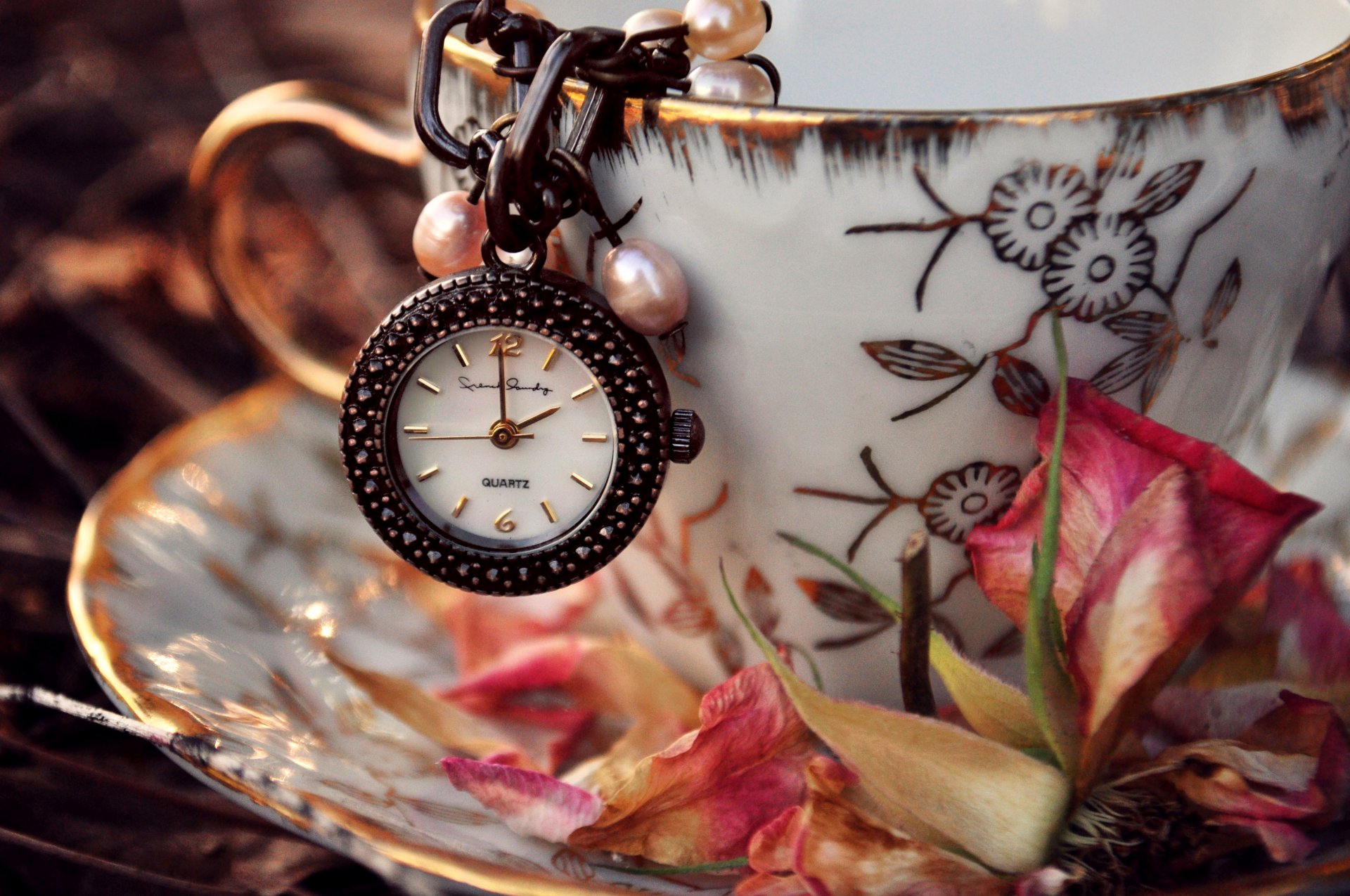 watches suspension cup saucer leaves dry flower pink petal