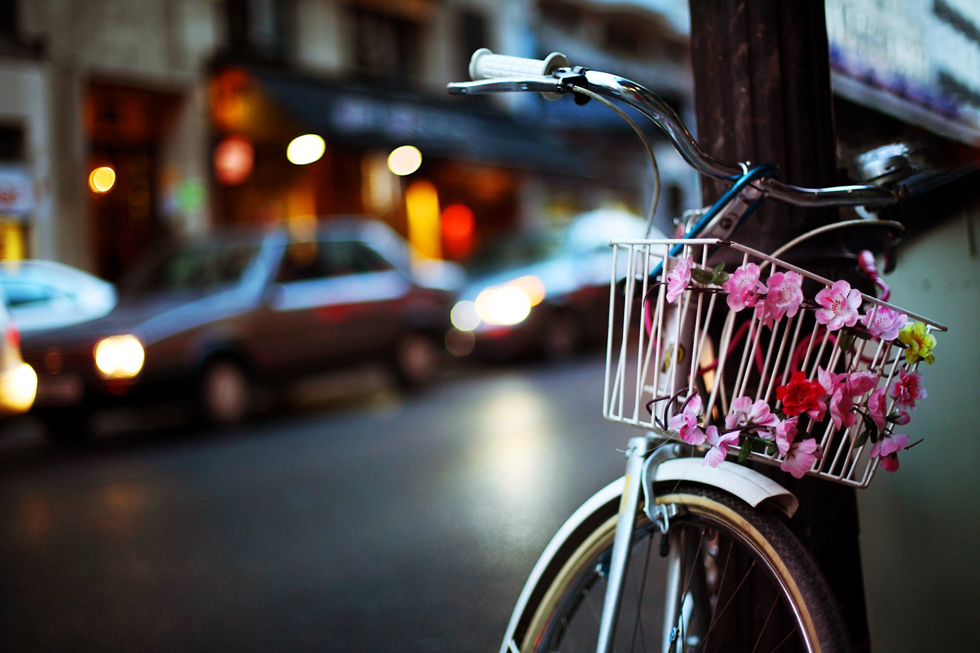 vélo panier fleurs poteau ville route voitures soirée lumières bokeh