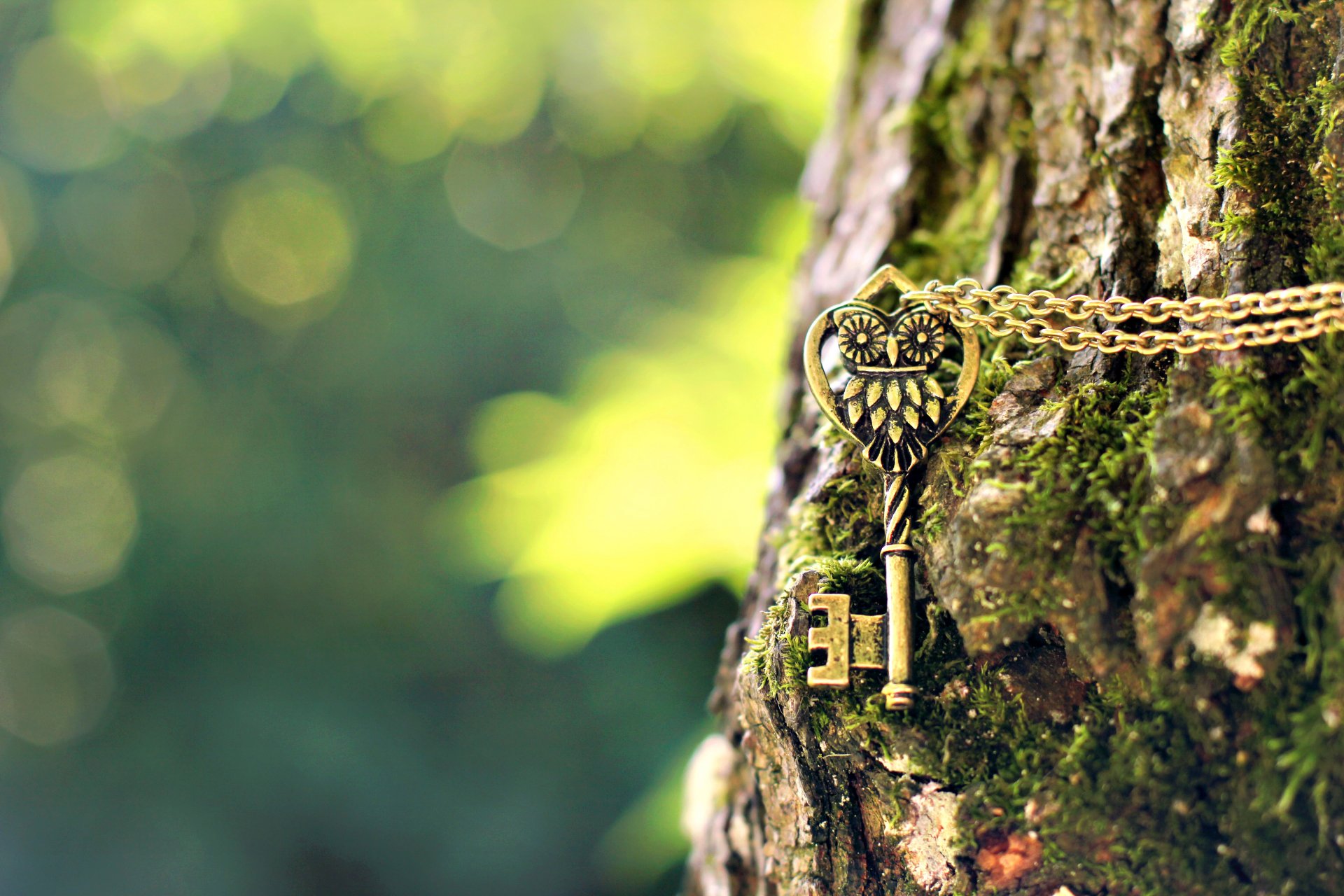 schlüssel metall eule anhänger kette holz rinde bokeh unschärfe makro