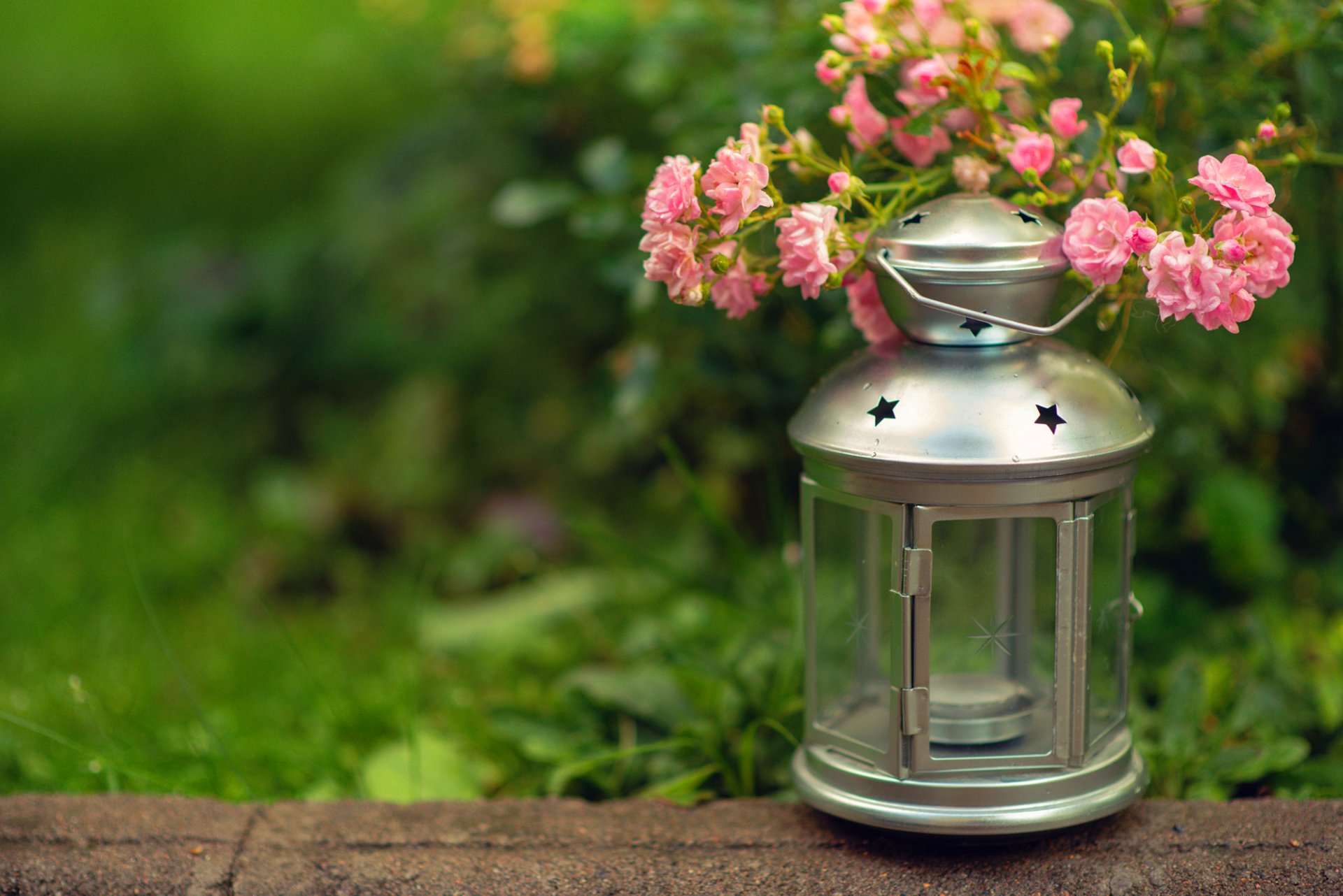 light flashlight candle flower pink grass green blur