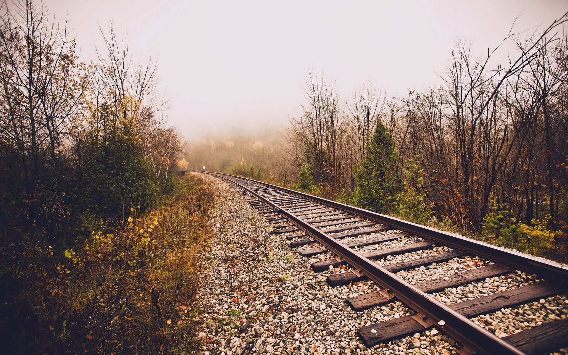 chemin de fer brouillard nature