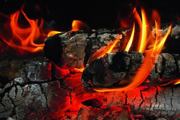 Troncos ardiendo. Llamas rojas en la chimenea