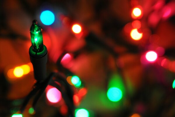 Multicolored lights garlands on a blurry background