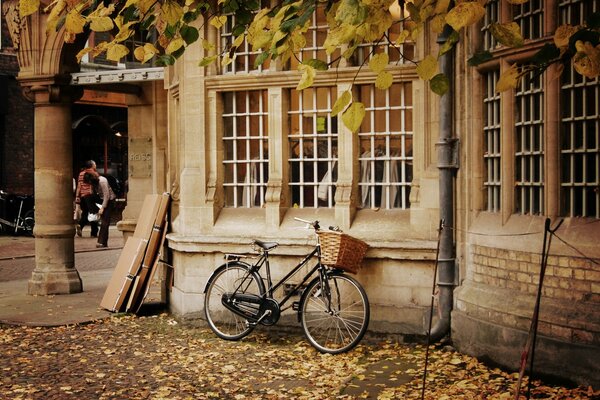 Widescreen wallpaper bicycle with basket and autumn foliage