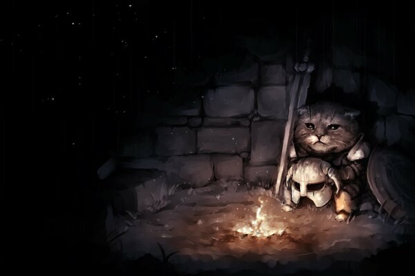 A gray cat is sitting in the semi-darkness near the fire