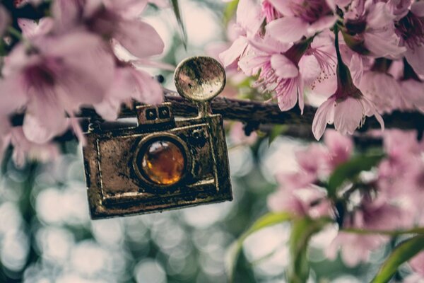 Pendant camera on a background of pink flowers