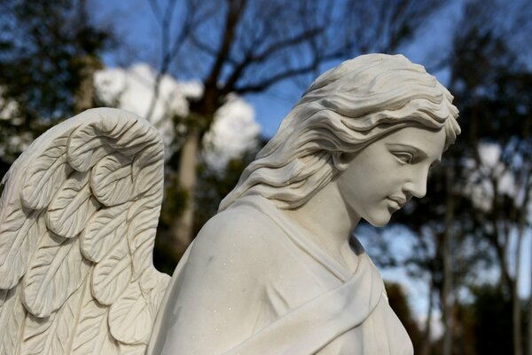 There is a statue of an angel with wings against the background of trees