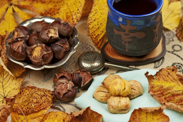 Autumn still life with chestnut tea