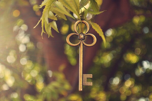 A key on a branch with green leaves