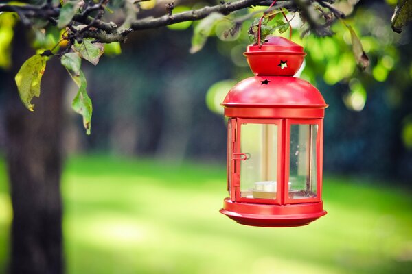 A lantern with a candle hanging on a branch