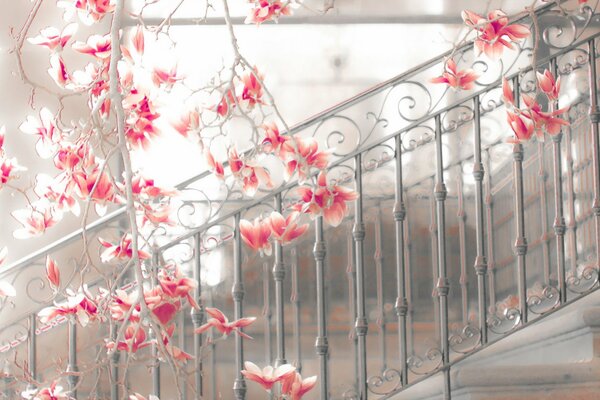 White staircase facing the street