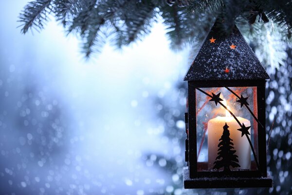 Laterne mit Kerzen auf dem Hintergrund eines Winterbaumes