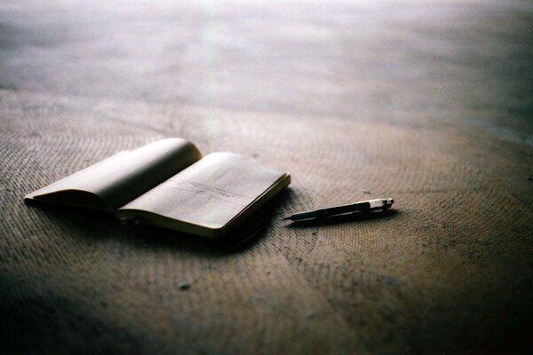 I ll write down my thoughts in a diary