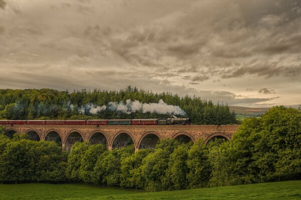 Il treno cavalca il ponte sullo sfondo della natura Dell Inghilterra