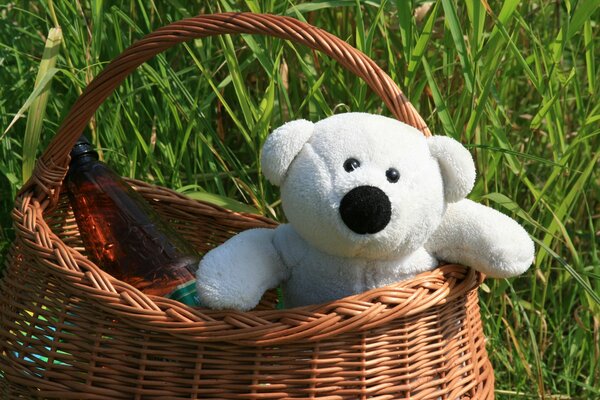 Teddy bear in a basket of mushrooms