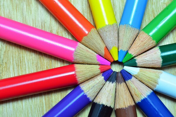 Colored pencils folded in a circle