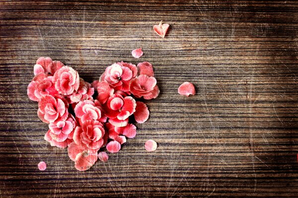 Corazón de flores Rosadas sobre fondo de árbol