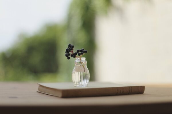 A book on the table, with a vase and a branch of berries