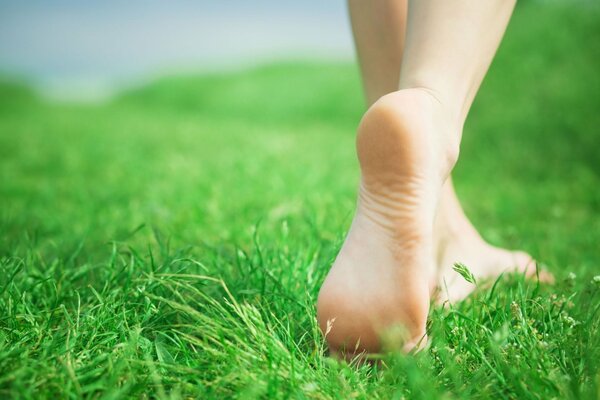 Girl s feet on the green grass