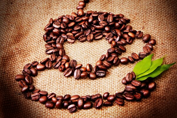 A thicket of coffee drawn with coffee beans