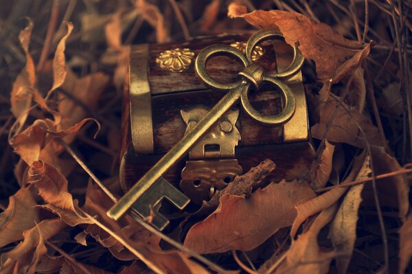 Metal key with a box