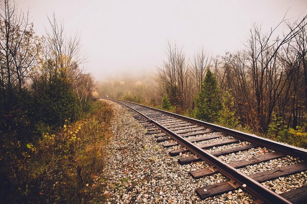 Chemin de fer sortant dans le brouillard d automne