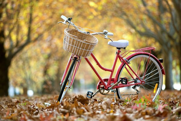 Bicicletta con cesto su sfondo di foglie gialle