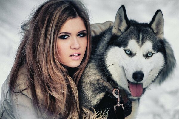 Husky aux yeux bleus et fille