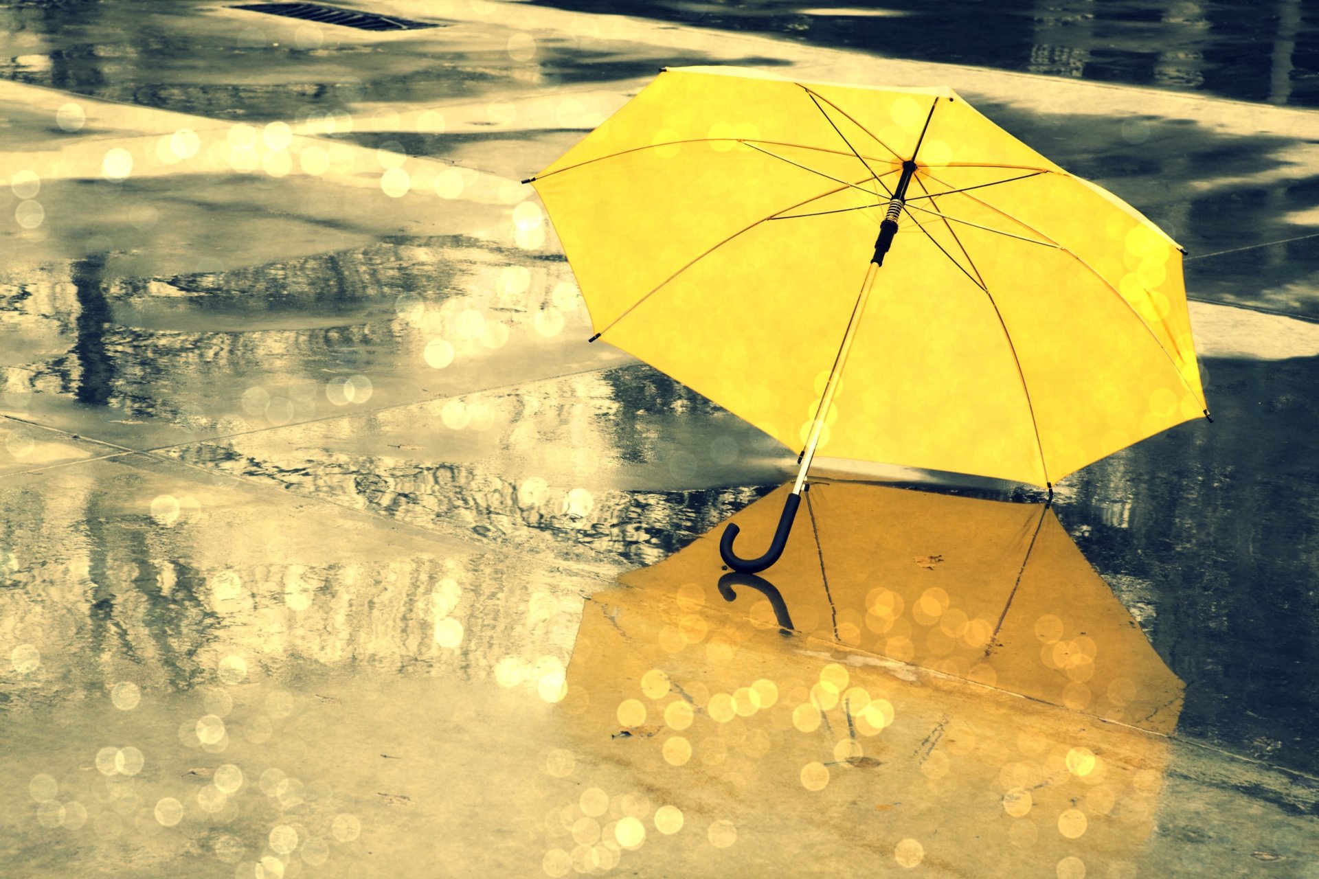 divers parapluie parapluie jaune pluie eau gouttes humide réflexion éblouissement fond écran large plein écran écran large fond d écran