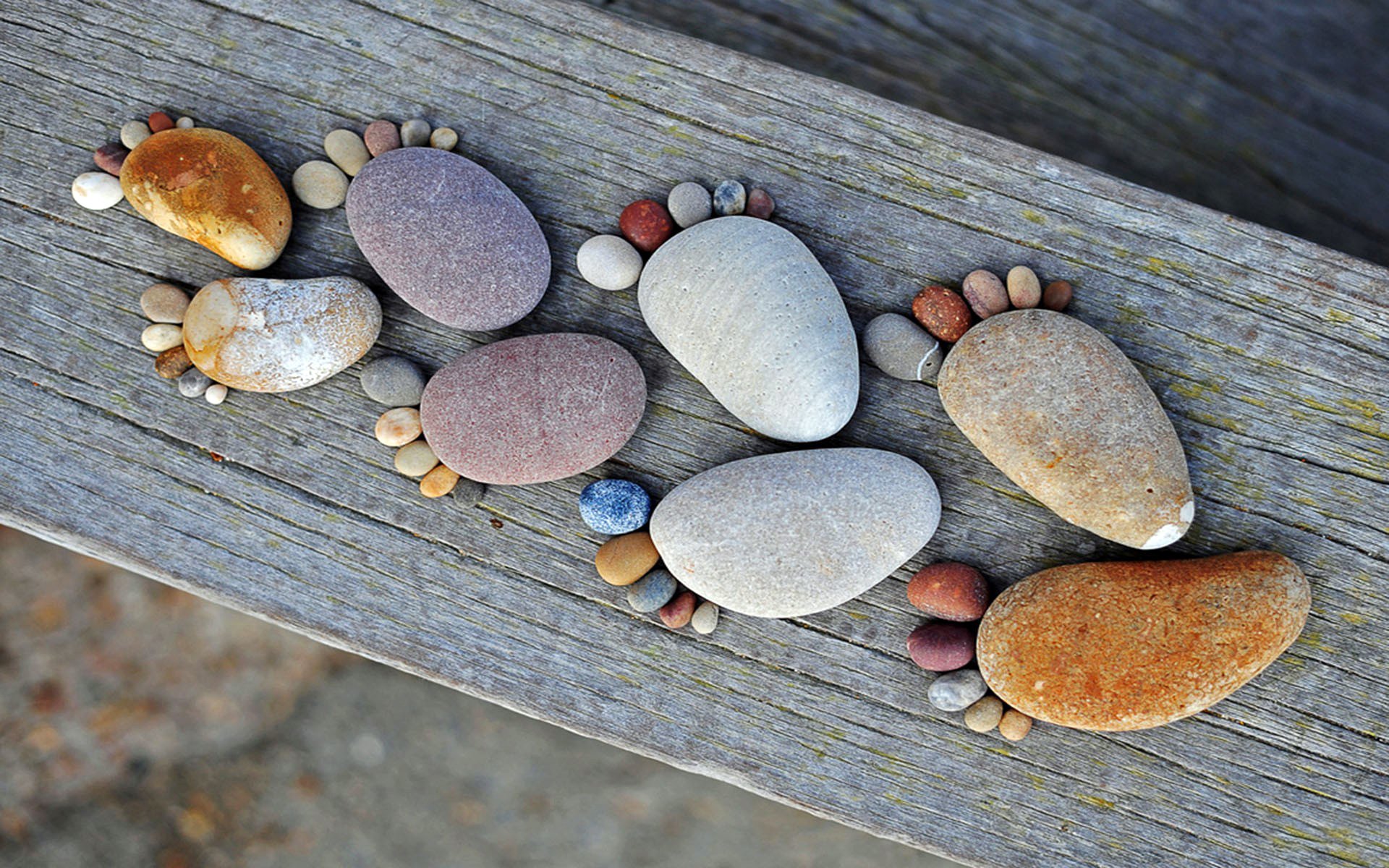 board wood stones pebbles legs feet