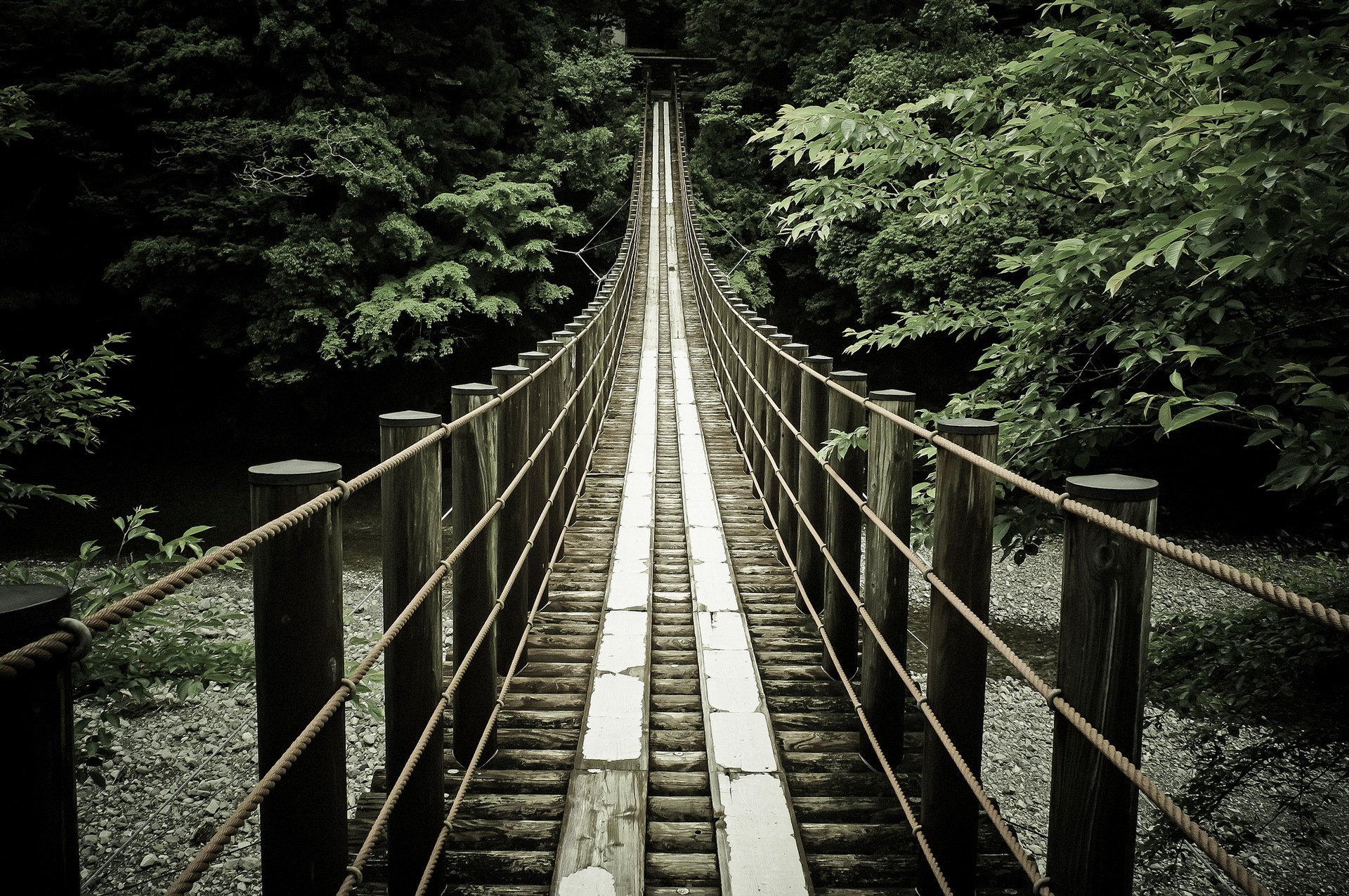 pont rivière nature fond