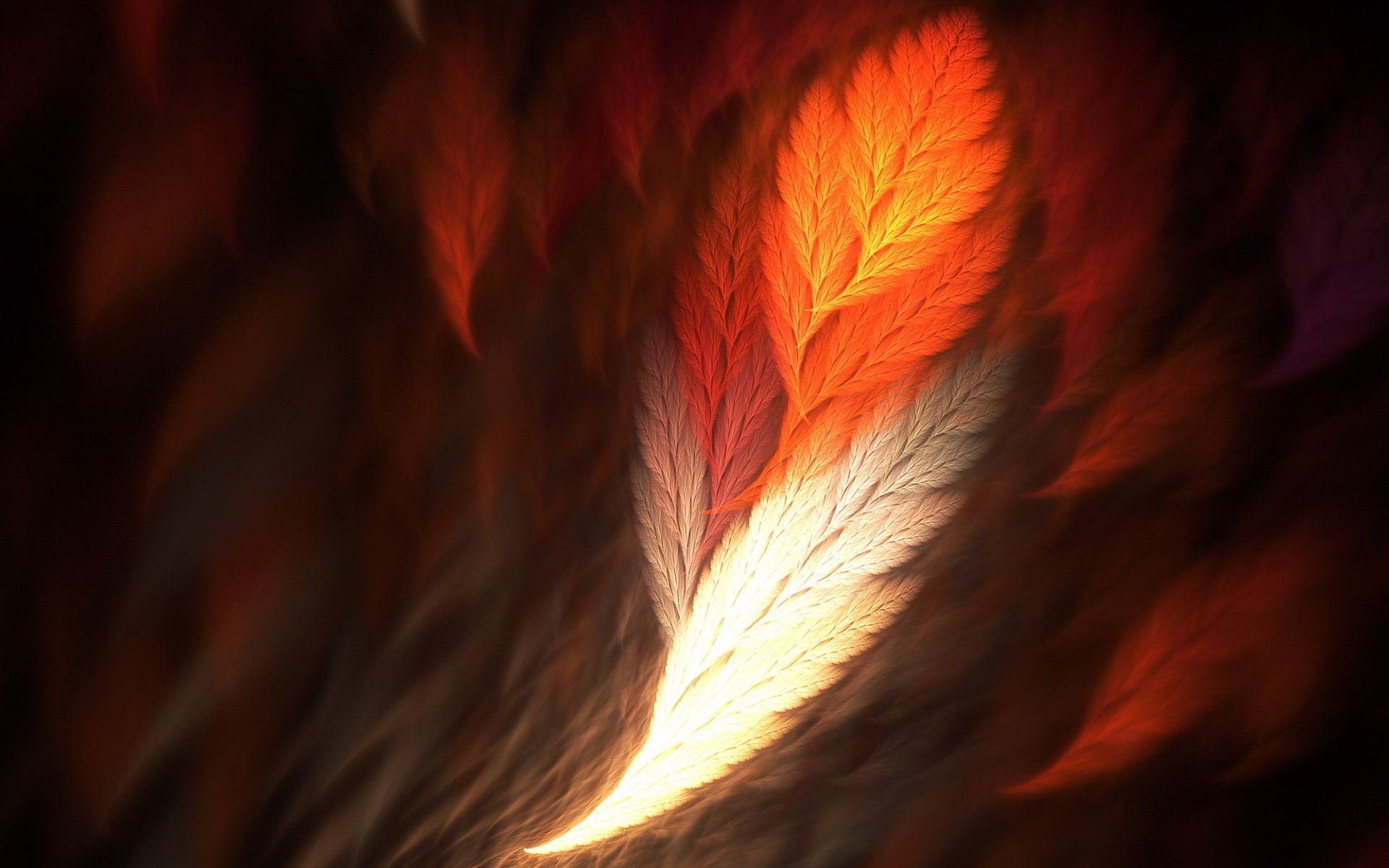 plume phoenix rendu