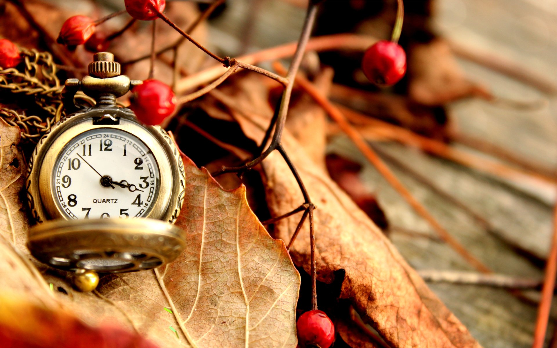 uhr tasche herbst blätter beeren rot trocken