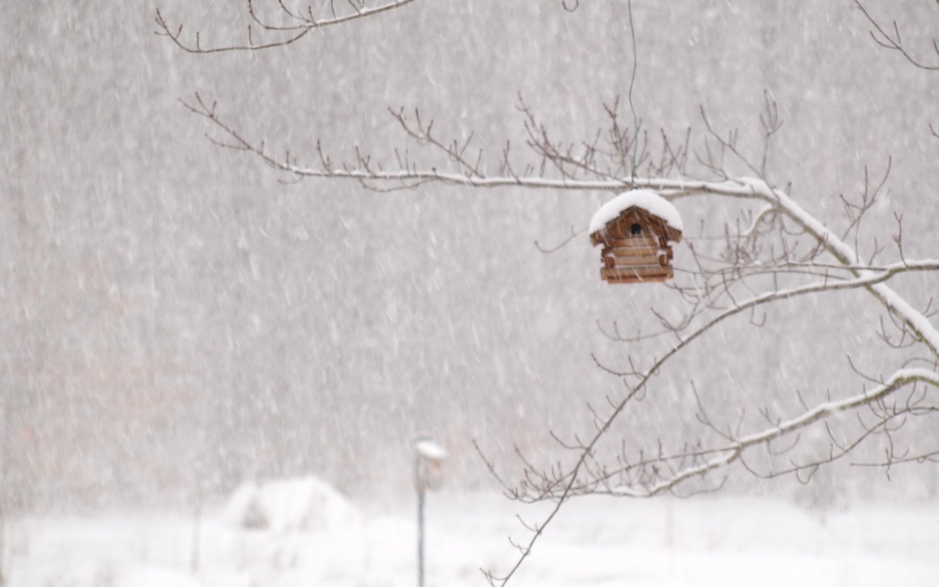 winter schneesturm haus