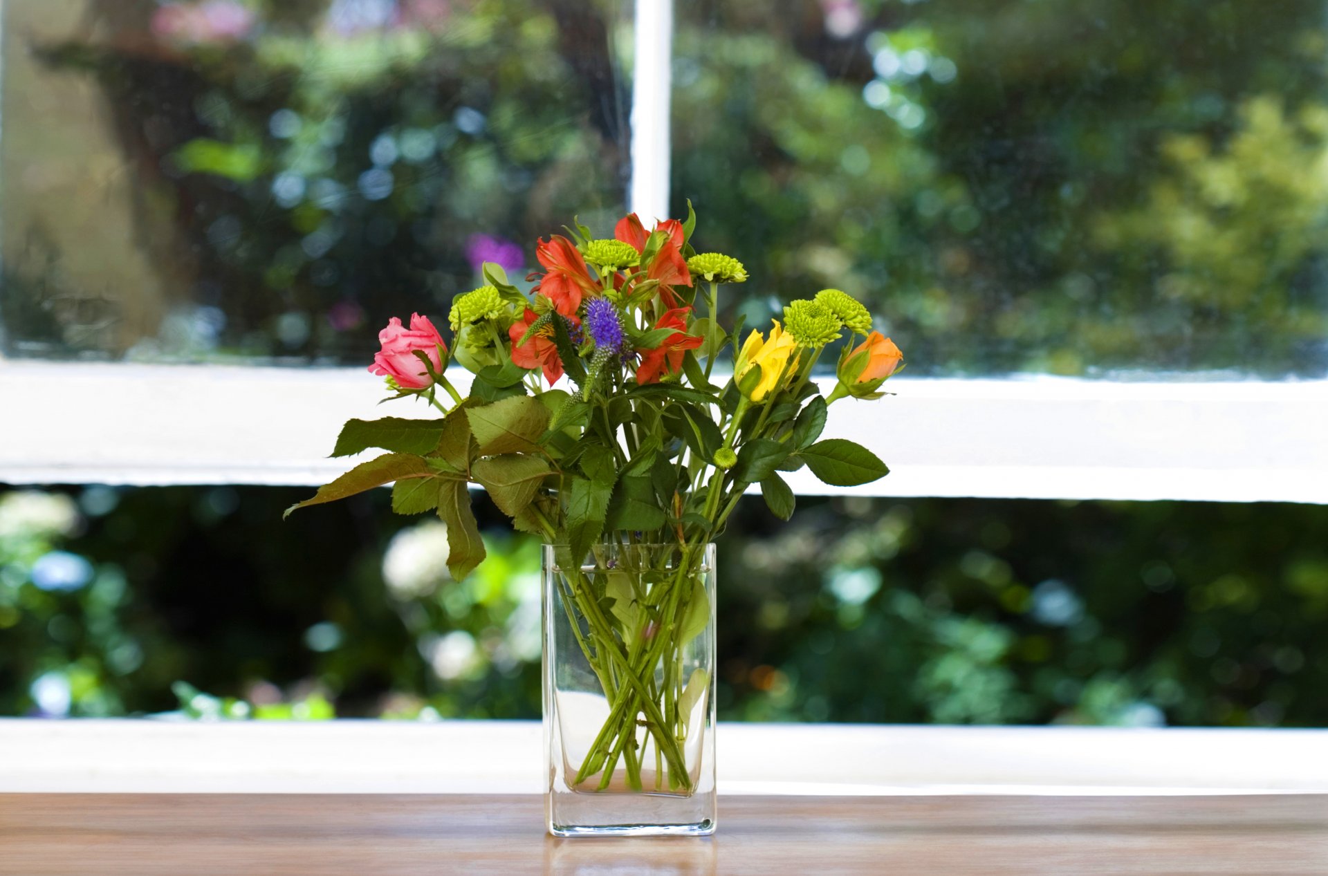 vase blumen fenster fensterbank grün blumenstrauß