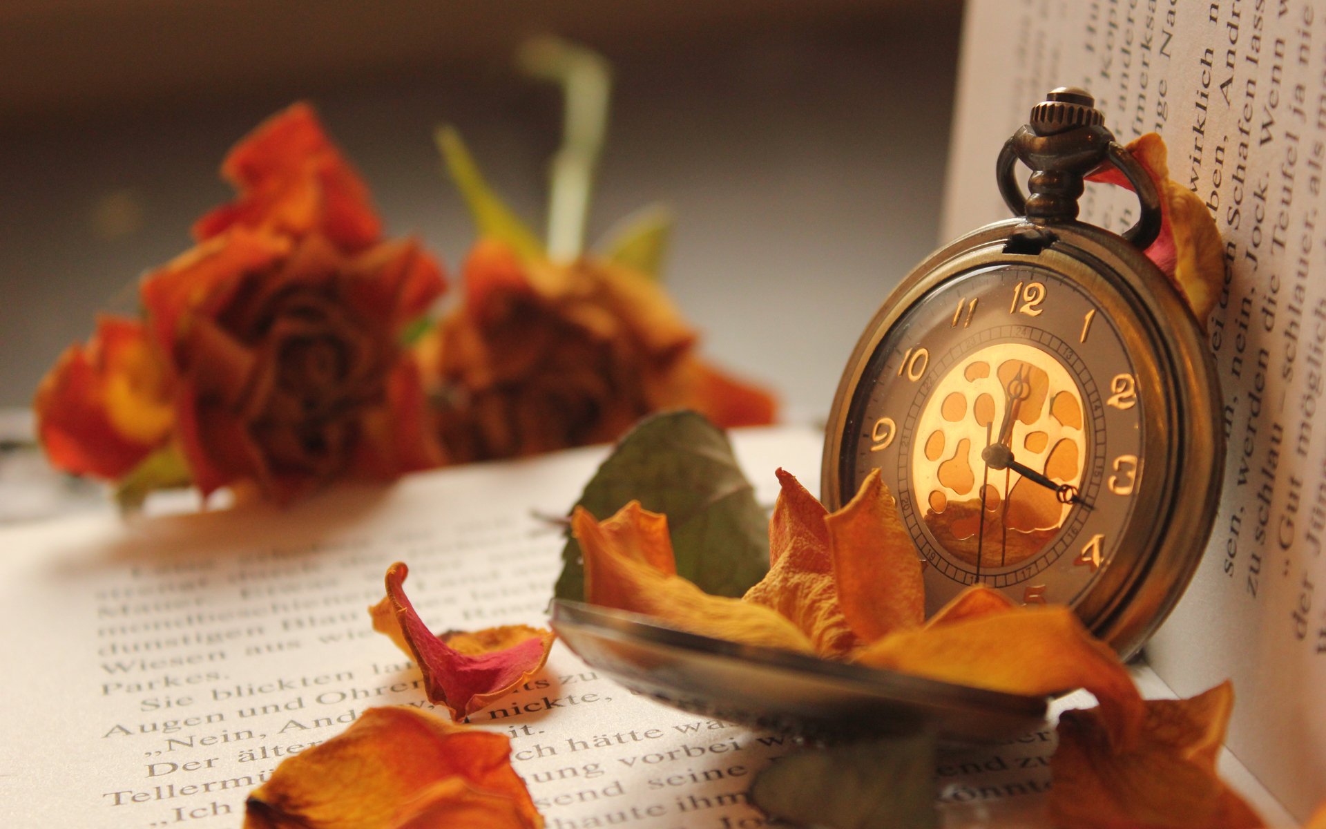 libro rosas flores reloj bolsillo pétalos