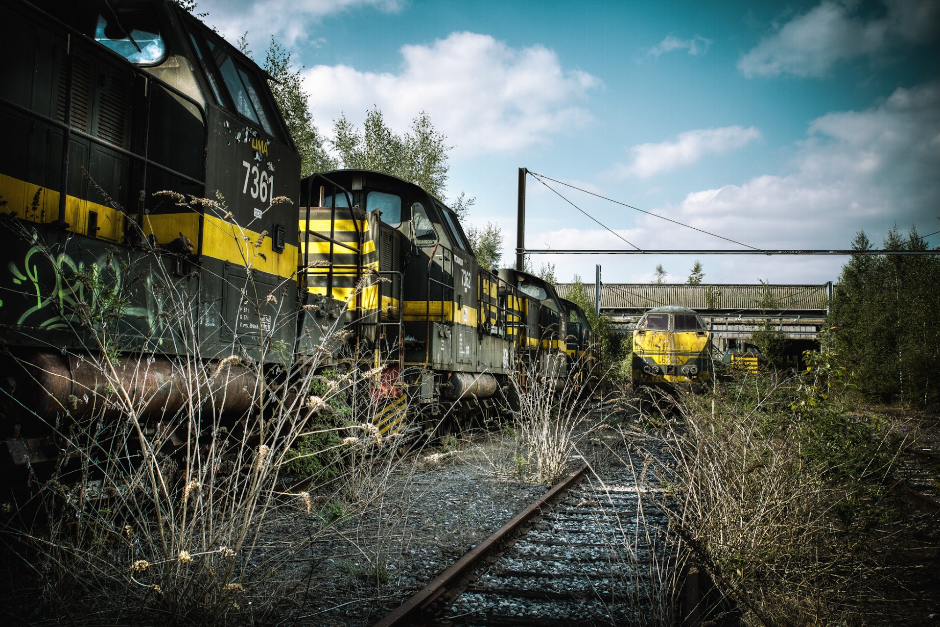 tren carriles ferrocarril coches hierba seco