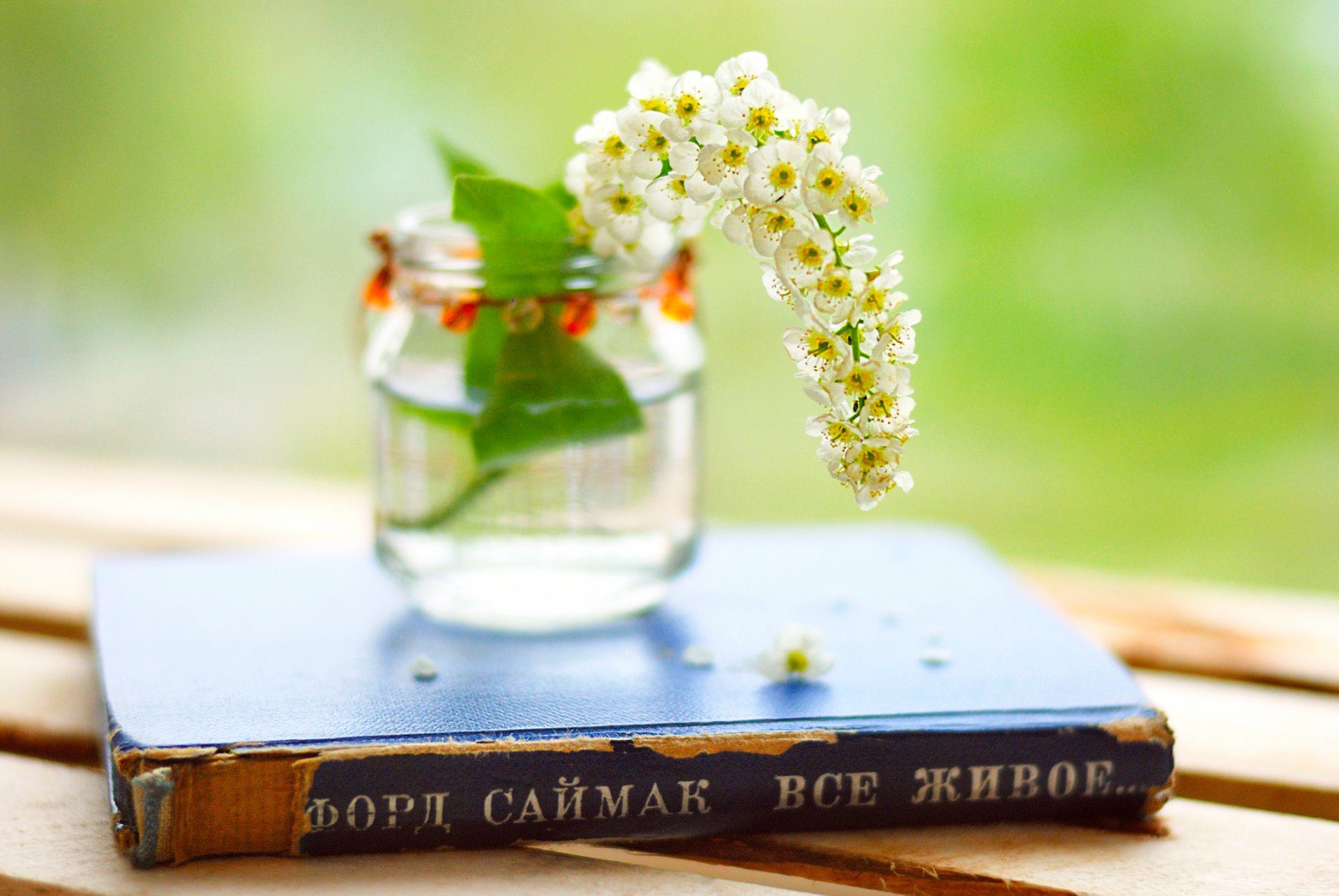 miscellaneous book book ford simak everything alive jar flowers flowers leaves leaves background wallpaper widescreen fullscreen hd picture